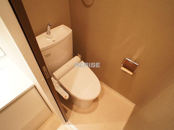 Toilet. Washlet toilet