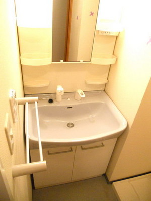 Washroom. Convenient Shampoo dresser