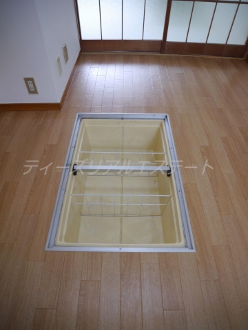Other. Underfloor Storage