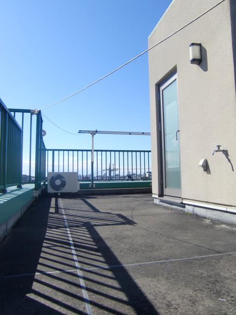 Balcony. Roof Roof Garden