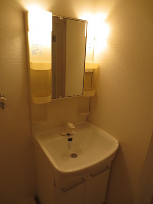 Washroom. Independent wash basin