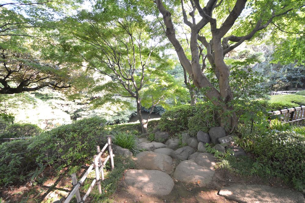 park. 300m until Ikedayama park