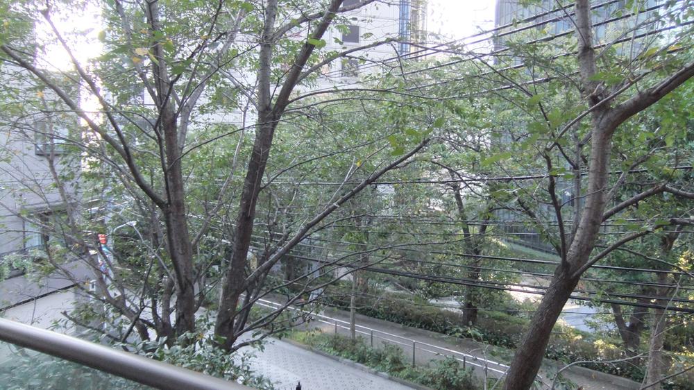 Balcony. The view from the surrounded by green balcony