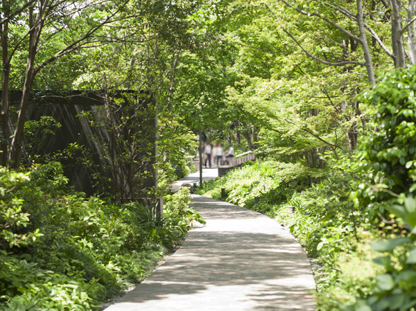 Surrounding environment. Sink Park Forest (about 350m / A 5-minute walk)