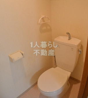 Other. Toilets are another bus toilet.