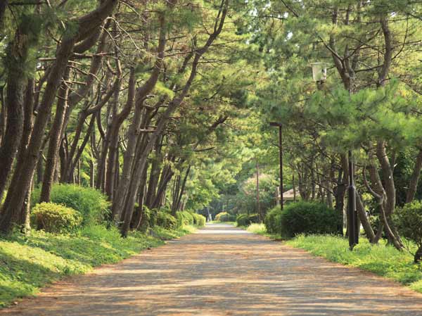 Surrounding environment. Keihin Canal green road park (walk 16 minutes, About 1260m)