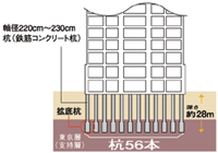 Building structure.  [High basic structure of earthquake resistance which has been subjected to consideration of the earthquake] Axis diameter of about 220cm, which received a rating of (goods) Nipponkenchikusenta ~ The 拡底 pile 56 present to spread the distal end portion of the earth drill piles and piles of 230cm, Buried up to about 29m in conjunction with the base portion. Become a support layer, Located in the basement about 28m, 200,000 years ~ Is a stratum of Tokyo gravel layer deposited before more than 12 million years. (Conceptual diagram)