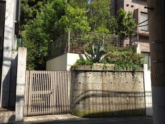 Local land photo. Local Photos