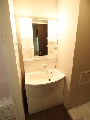 Washroom. Washbasin stylish wide sink