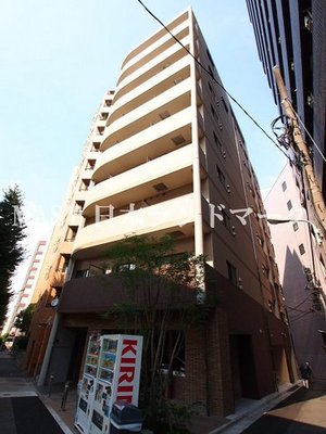 Building appearance. The entrance is a stone fashionable entrance