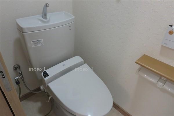 Toilet. Bidet with toilet