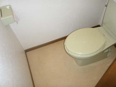 Toilet. Toilet