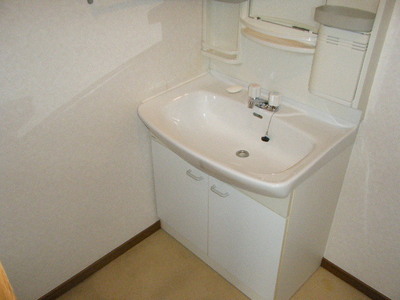 Washroom. Wash basin