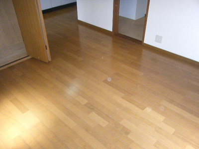 Living and room. room