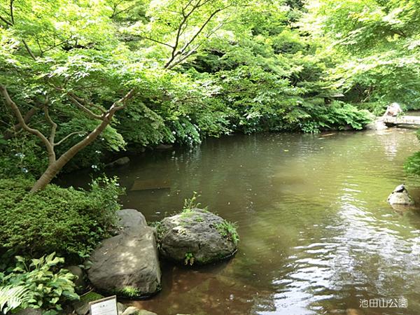 park. 263m until Ikedayama park