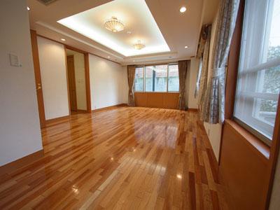 Shinagawa-ku, Tokyo Higashi Gotanda 3