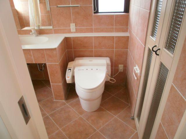 Toilet. Indoor (January 2011) shooting