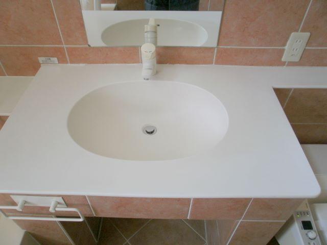 Wash basin, toilet. Indoor (January 2011) shooting