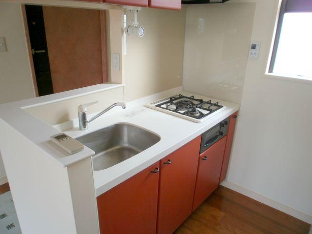 Kitchen. Indoor (January 2011) shooting