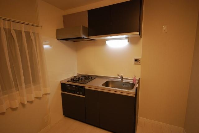 Kitchen. System kitchen equipped for cooking is fun!