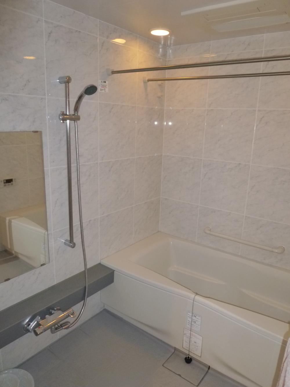 Bathroom. Local (January 2013) Shooting