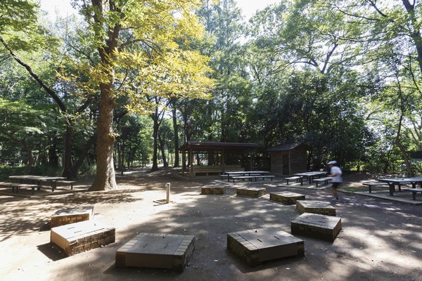 Forest Park of Metropolitan forest trial (about than local 440m ・ 6-minute walk). Lawn open space and campsites, There are walking trails, etc., Adults can also enjoy nature 120,000 m2 than the vast oasis of space