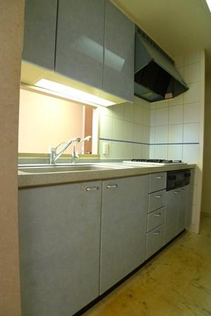 Kitchen. Indoor (11 May 2013) Shooting