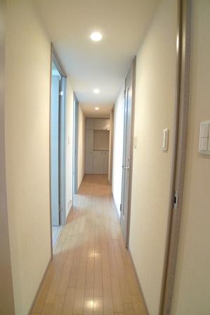 Other introspection. Corridor part