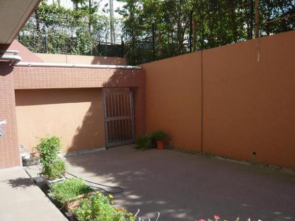 Garden. terrace