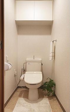 Toilet. Reference is a picture