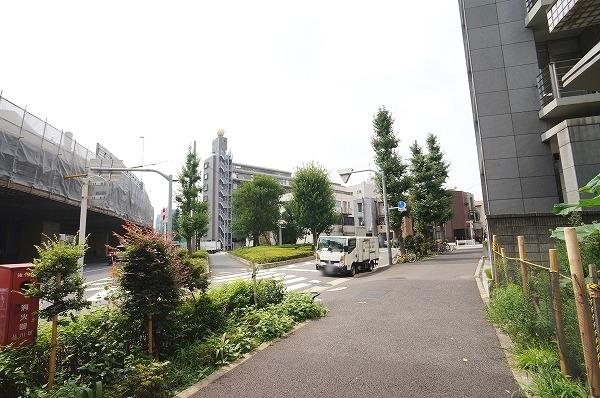 Local photos, including front road