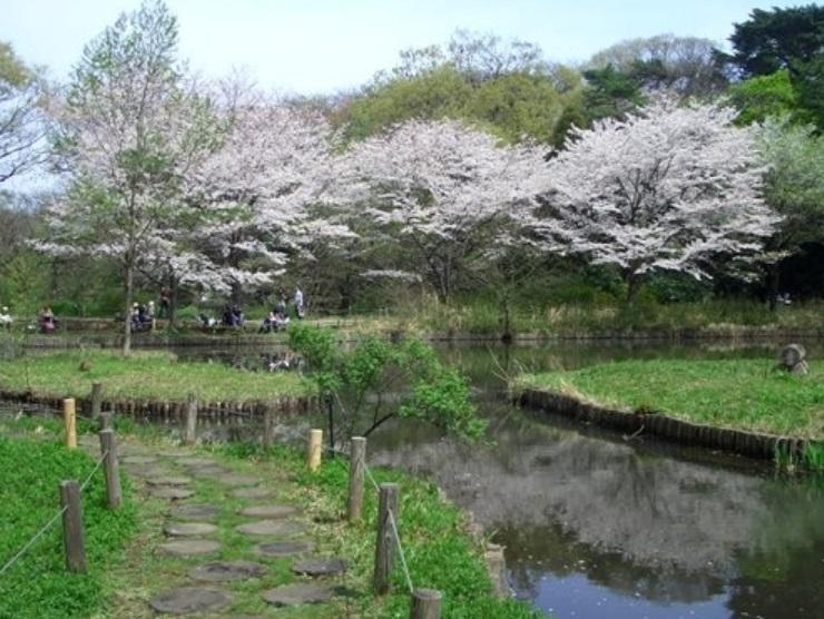 park. National Science Museum comes with 200m to Nature Study