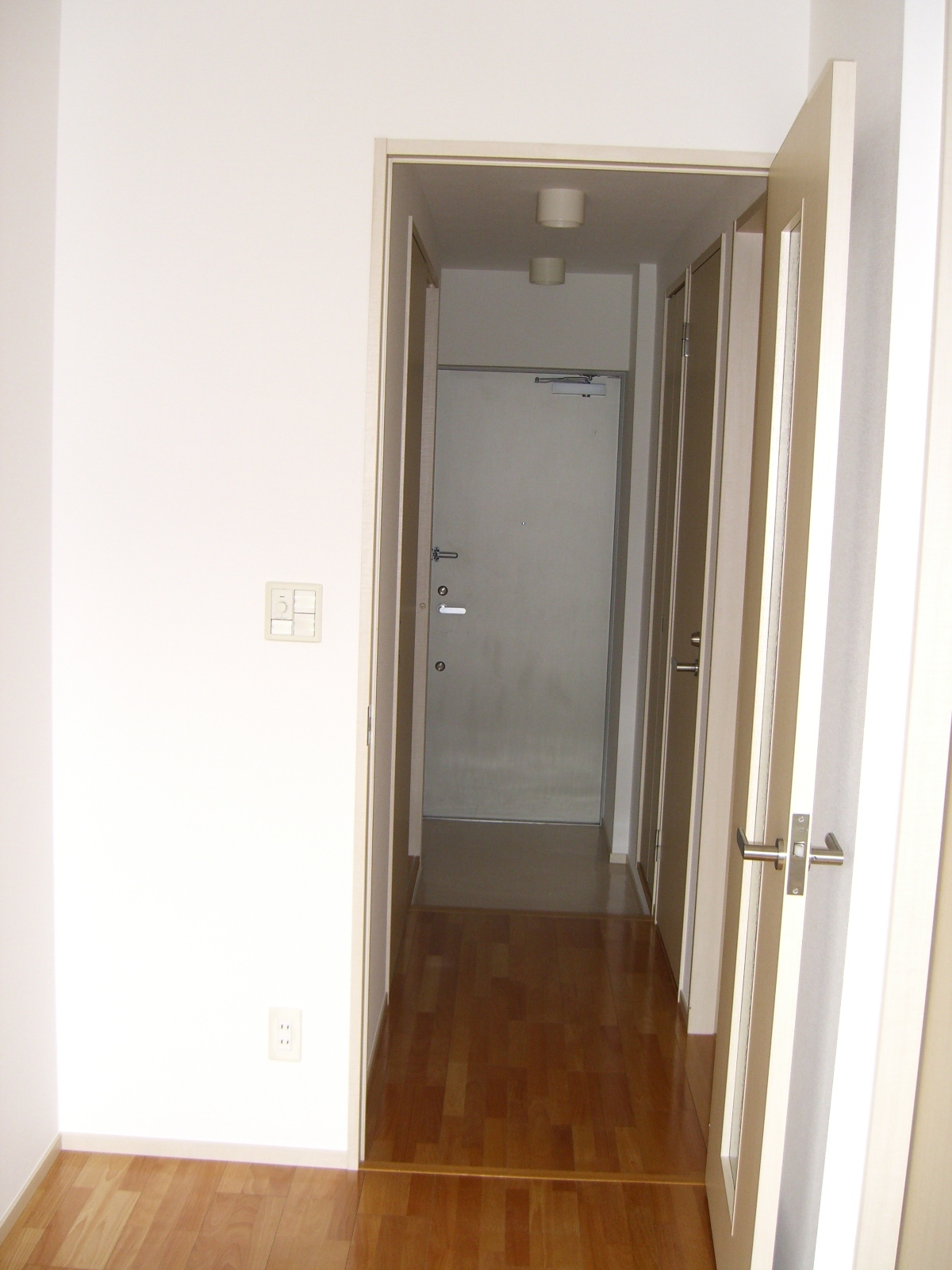 Living and room. The entrance from the living room