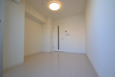 Living and room. White bright keynote Western-style (LED lighting fixtures implementation with remote control)