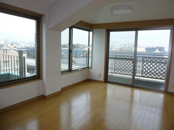 Living and room. Windows are many bright rooms