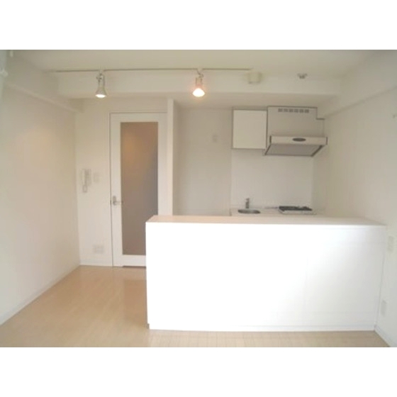 Living and room. With lighting