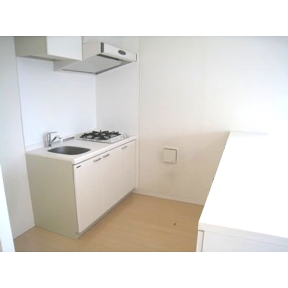 Kitchen. 2-neck system Gasukitchin