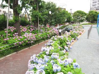 park. Shinagawa 150m to Central Park