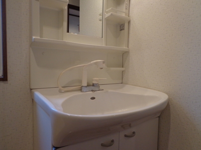 Washroom. Will Vanity.