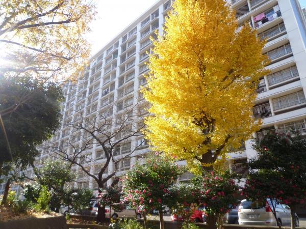 Local appearance photo. Management system is good