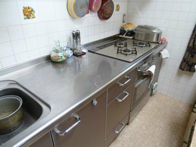 Living. The kitchen is a luxury all-stainless