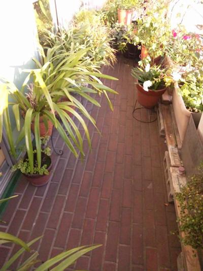 Balcony. It is fashionable it has been drawn clog bricks also on the balcony.