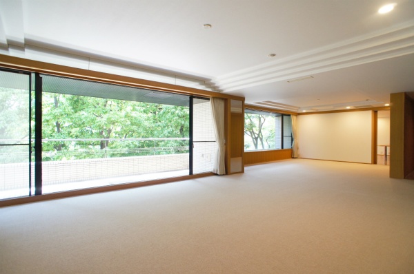 Living and room. Living