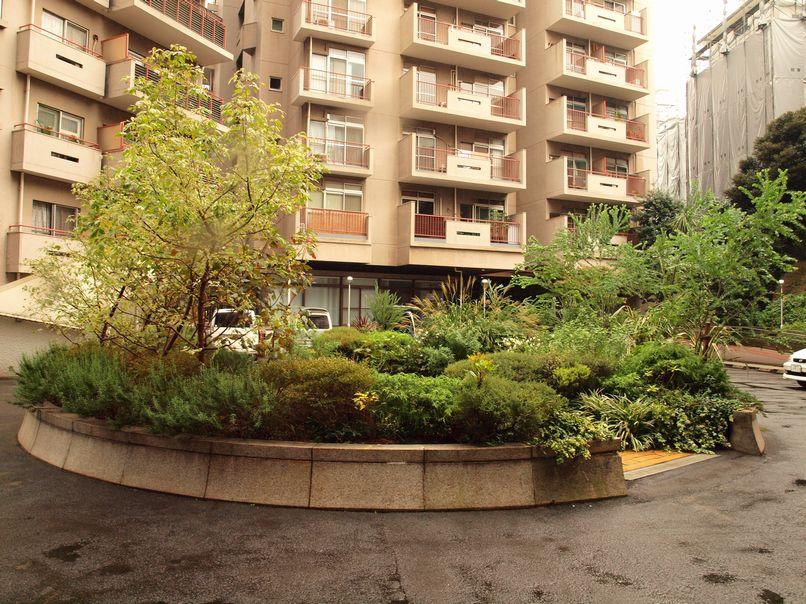 Other common areas. Clean of the planting of the shared part is the story the goodness of the management system.