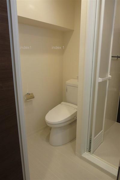 Toilet. Bidet with toilet