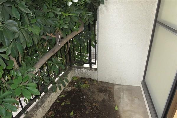 Balcony. It is a dedicated garden part