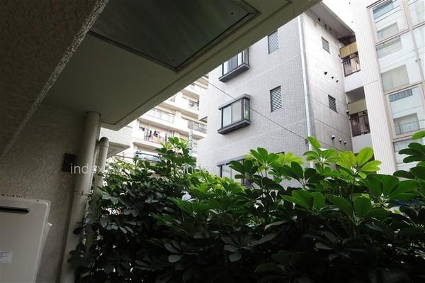 View photos from the dwelling unit. A glance is not worried because there is a planting