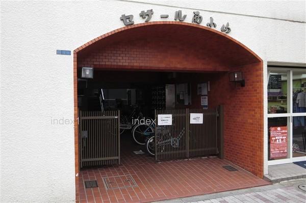 Entrance. Well-managed entrance