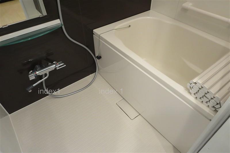 Bathroom. Bathing has added add cooking function!