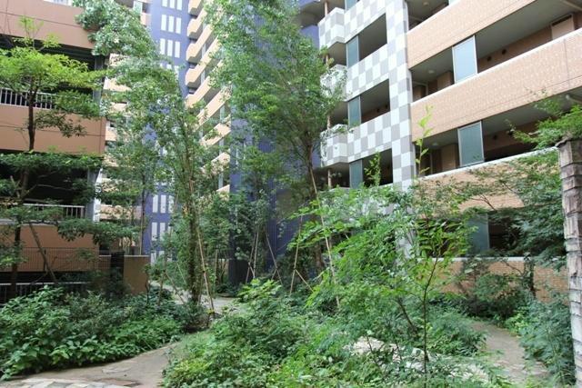 Other common areas. courtyard